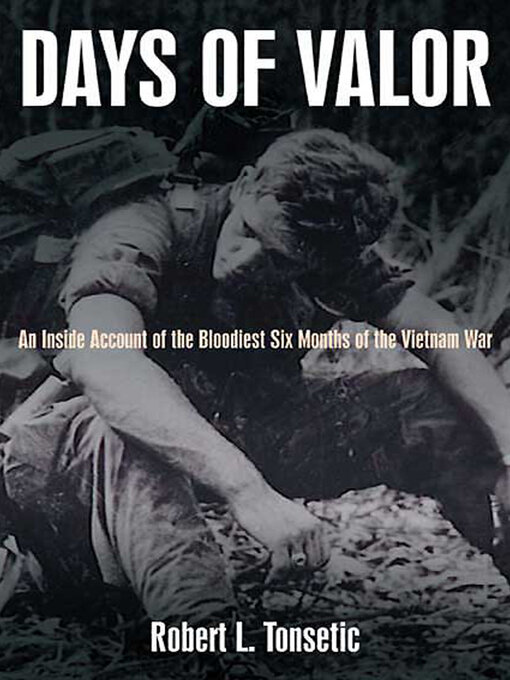 Title details for Days of Valor by Robert L. Tonsetic - Wait list